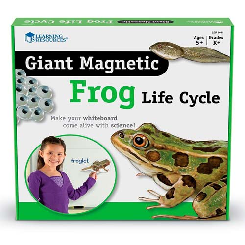 Magnetický vývojový cyklus - Žába